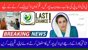 8171 BISP Balance Check 2025 – Verify CNIC & Track Latest Payments Online