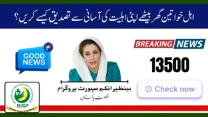 8171 Web Portal CNIC Confirmation – Easy Online Verification Guide