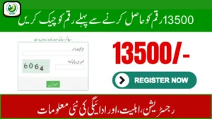 BISP 8171 Portal – Eligibility Recheck & Registration Process for Rs.13,500 Assistance