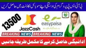 BISP Payment JazzCash Easypaisa 2025 – Complete Guide & Latest Updates