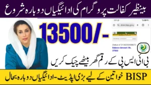 BISP Payment Restart 2025 — Latest Update for All Beneficiaries