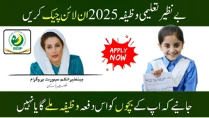 Benazir Taleemi Wazaif for Orphan Children Eligibility and Payment Details