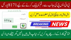 Check BISP Payment & Eligibility Through 8171 Portal – November 2025 Guide