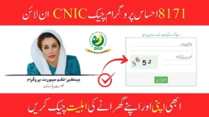 Ehsaas 8171 Web Portal – Complete Guide for Registration & Payments