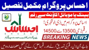Ehsaas Program 8171 Update 2026 Benazir Kafalat Rs.13,500 Payment Now Available via Digital Wallet