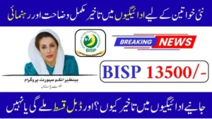 Good News for BISP Beneficiaries – Fix Missing Payments in Minutes!