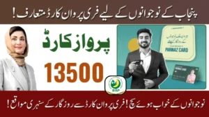 Maryam Nawaz Free Parwaz Card Punjab A New Hope for Youth Empowerment