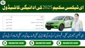 Punjab E-Taxi Scheme Repayment Terms — Complete Guide for Applicants
