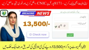 8171 Check Online CNIC 2025 – Complete Guide to Verify Your Eligibility