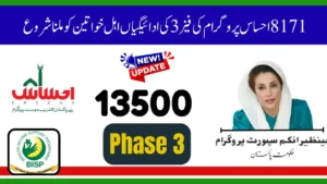 8171 Ehsaas Program Phase 3 Payments November 2025 – Check Your CNIC Status Online