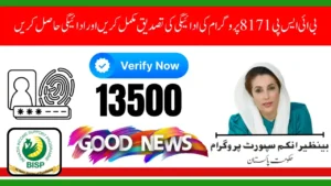 8171 November 2025 Payment Verification and Status Check