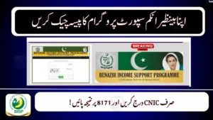 8171 Online Portal 2025 Check Status & Re-Register If You Are Ineligible