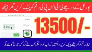 8171 Portal Update 2025 Complete Guide for Users to Get 13,500