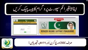 8171 Tracking System 2025 Step-by-Step Guide to Check Payments via CNIC