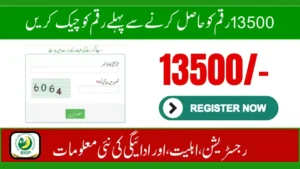 8171 Web Portal 2025 – Check Rs. 13,500 BISP Payment & Eligibility Status Online