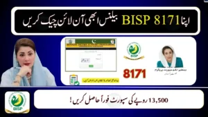 BISP 8171 Online Portal 2025 – CNIC Check, Eligibility Status & Payment Tracking Guide
