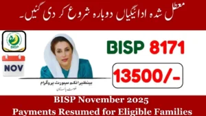 BISP November 2025 Payments Restarted – Check Your Rs. 13,500 Eligibility Status Online