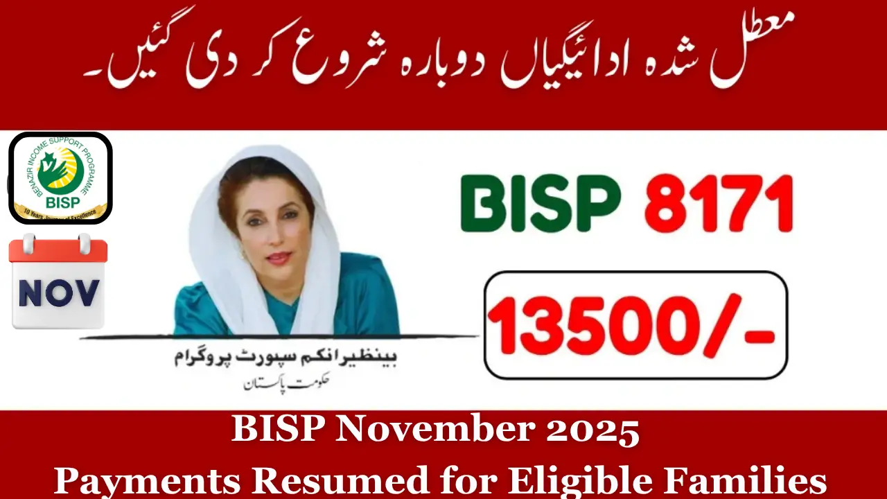 BISP November 2025 Payments