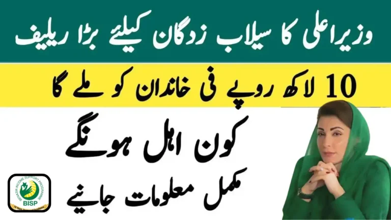 CM Punjab Sailab Bahali Program 2025