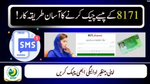 Check BISP Payment Online via 8171 SMS – Updated 2025 Guide