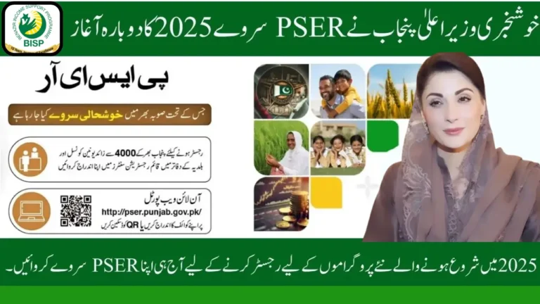 PSER Survey 2025 Punjab