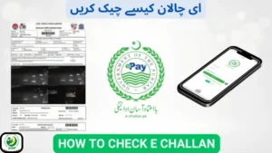 E-Challan Sindh Online Check – Complete Guide for 2025