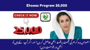 Ehsaas 25000 Eligibility Requirements 2025 – How to Qualify for Financial Aid