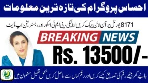 Ehsaas Program CNIC Check 2025 Simple Steps to Verify Your Eligibility Online