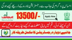 Ehsaas Program Registration 8171 NADRA – Apply Online Today
