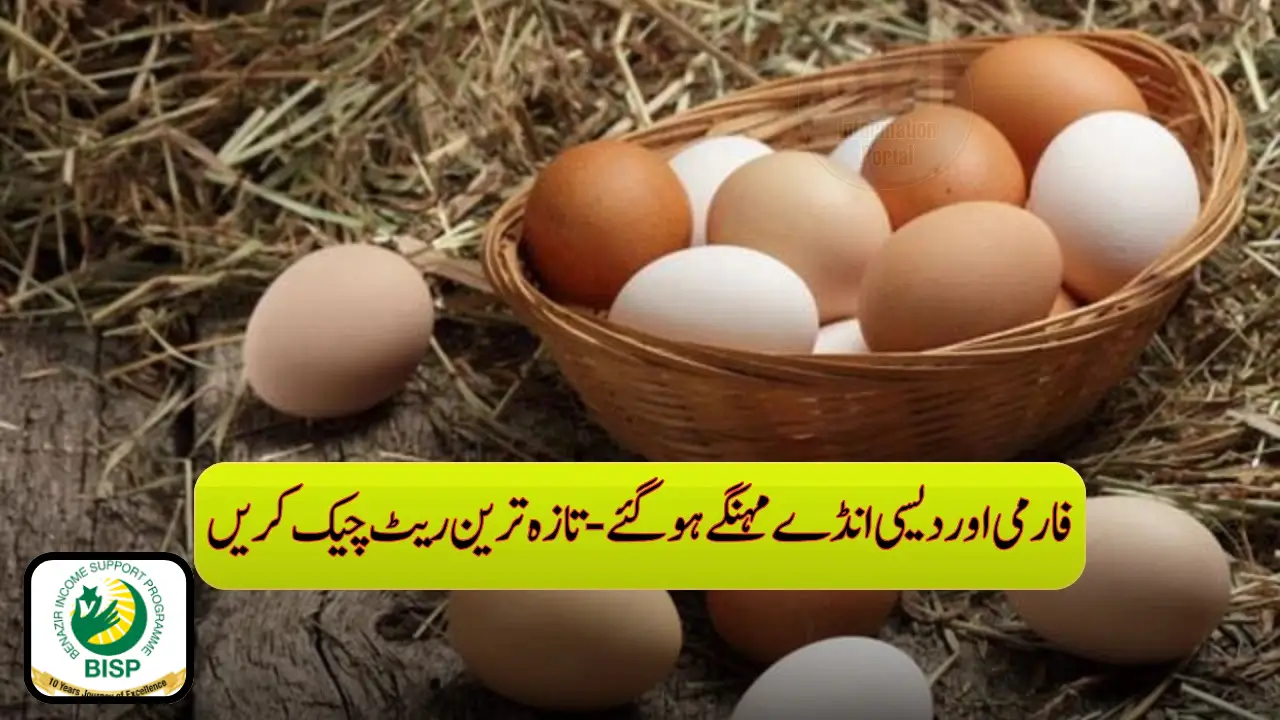 Farmi and Desi Eggs Prices Rise Again
