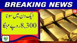 Gold Hits Record High of Rs. 443,062 Per Tola After Major Jump