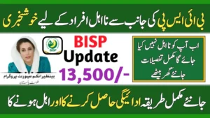 BISP Disqualified Persons Update Government Releases New List for 2025