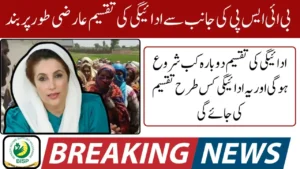 Official Notice! BISP Payments Temporary Halt Due to System Upgrades