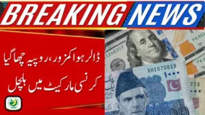 Pakistani Rupee to US Dollar Today – Latest Exchange Rate November Update