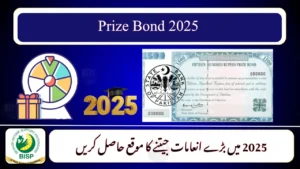 Prize Bond Draw 2025 Results – Full Schedule, List & Winning Prizes Online