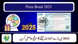 Rs. 25,000 Prize Bond Draw Results – November 2025 Edition