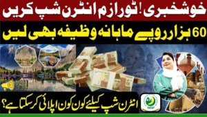 Tourism Internship 2025 by CM Punjab – Paid Positions Now Open