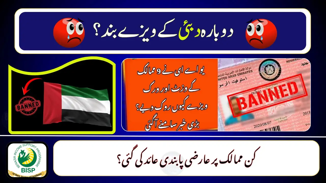 UAE Visa Ban Update 2025