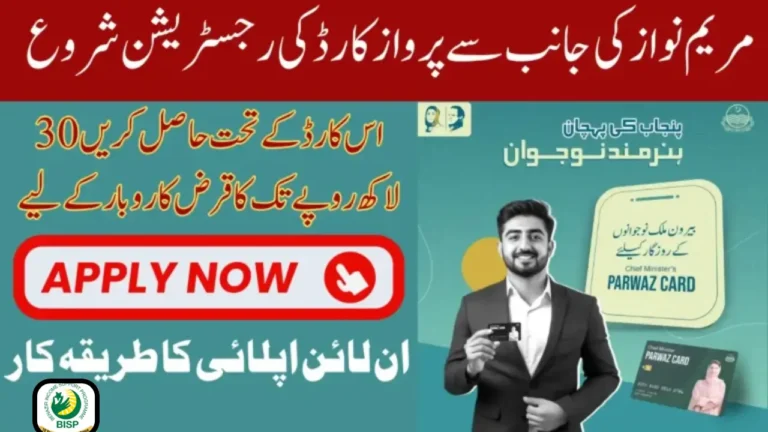 CM Punjab Parwaz Card 2025 Application